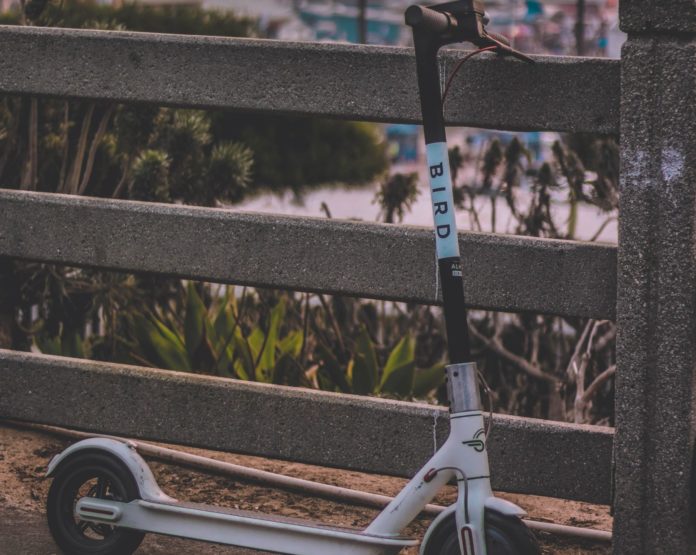 Bird e scooter