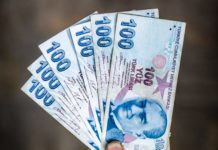 Turkish Lira Bounces Back After Historic Lows Turkish Lira