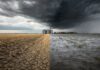 Analysts warn a strong El Niño could keep global food prices elevated into 2028 Analysts warn a strong El Niño could keep global food prices elevated into 2028