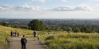 National Trust adds 32 hectares to Saltram park in Plymouth