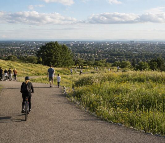 National Trust adds 32 hectares to Saltram park in Plymouth