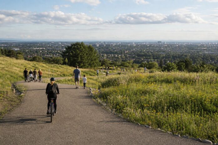 National Trust adds 32 hectares to Saltram park in Plymouth